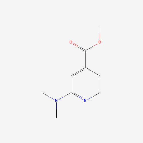 Methyl 2-(dimethylamino)isonicotinate (CAS: 26156-52-5) - Related Chemical Product