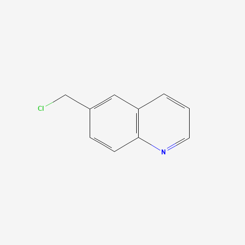 6-CHLOROMETHYLQUINOLINE (CAS: 2644-82-8) - Related Chemical Product