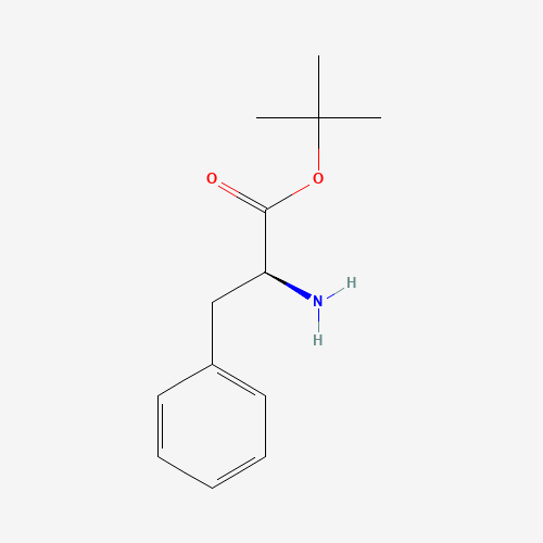 H-Phe-OtBu (CAS: 16874-17-2) - Related Chemical Product