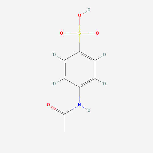 4-Acetamidobenzenesulfonic Acid-d4 (Major) (CAS: 1020718-75-5) - Related Chemical Product