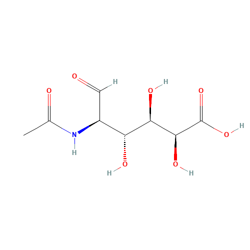2-Acetamido-2-deoxy-D-galacturonic Acid (CAS: 45171-33-3) - Related Chemical Product