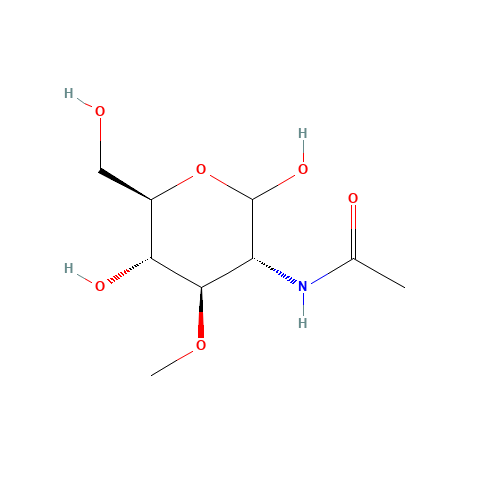 2-Acetamido-2-deoxy-3-O-methyl-D-glucopyranose (CAS: 94825-74-8) - Related Chemical Product