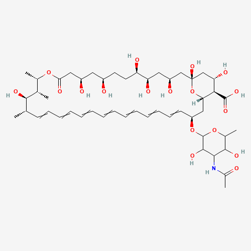 N-Acetyl Amphotericin B (CAS: 902457-23-2) - Related Chemical Product