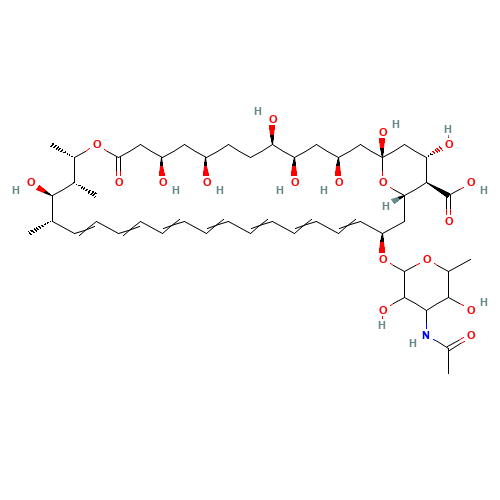 N-Acetyl Amphotericin B (CAS: 902457-23-2) - Related Chemical Product