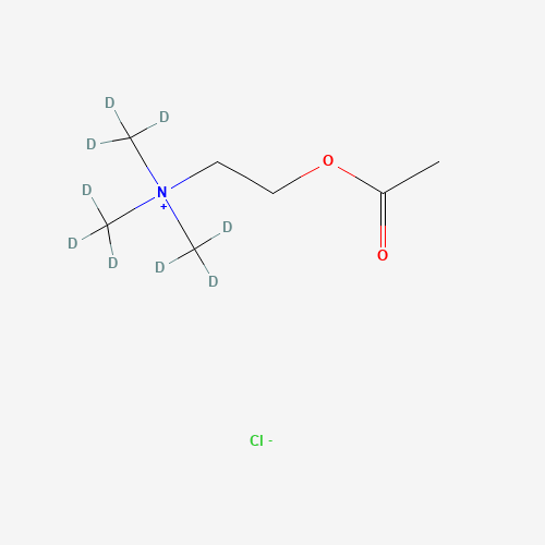 Acetylcholine-d9 Chloride (CAS: 344298-95-9) - Related Chemical Product