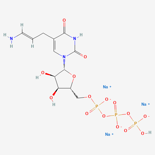 5-(3-Aminoallyl)uridine 5'-Triphosphate,80% (CAS: 75221-88-4) - Related Chemical Product