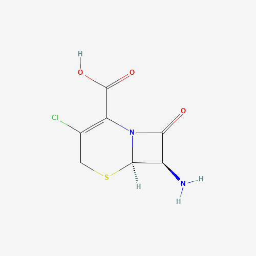 7-Amino-3-chloro-3-cephem-4-carboxylic acid (CAS: 53994-69-7) - Chemical Structure and Molecular Formula 