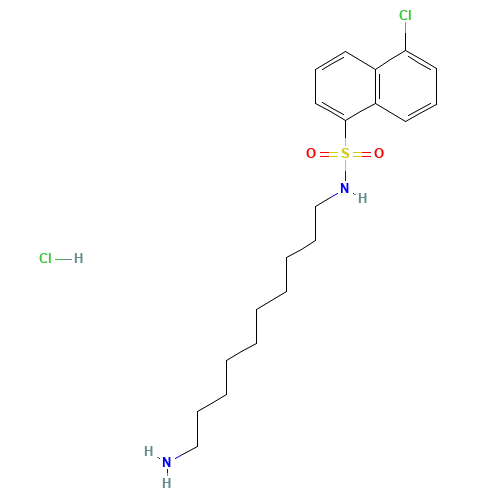 N-(10-Aminodecyl)-5-chloro-1-naphthalenesulfonamide Hydrochloride (CAS: 79127-24-5) - Related Chemical Product