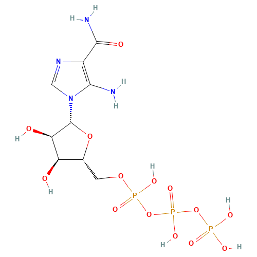 5-Aminoimidazole-4-carboxamide-1-b-D-Ribofuranosyl 5'-Triphosphate (CAS: 82989-82-0) - Related Chemical Product