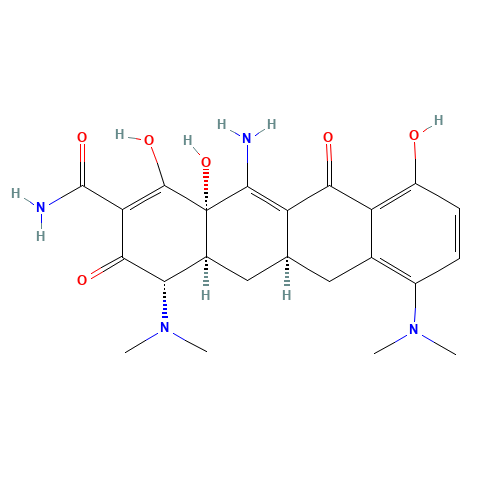 12-Amino Minocycline (CAS: 864073-42-7) - Related Chemical Product