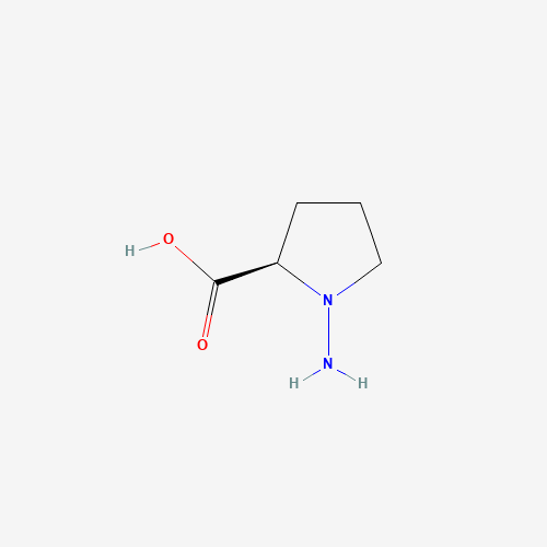 N-Amino-D-proline (CAS: 10139-05-6) - Related Chemical Product
