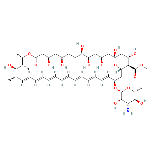 Amphotericin B Methyl Ester 90% (CAS: 36148-89-7) - Chemical Structure and Molecular Formula 