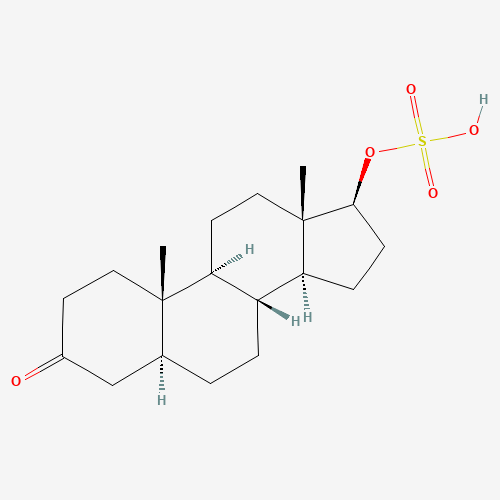 Androstanolone 17-O-Sulfate (CAS: 2641-48-7) - Related Chemical Product