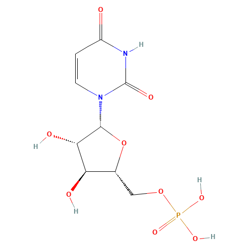 1-b-D-Arabinofuranosyluracil 5'-Monophosphate (CAS: 18354-06-8) - Related Chemical Product