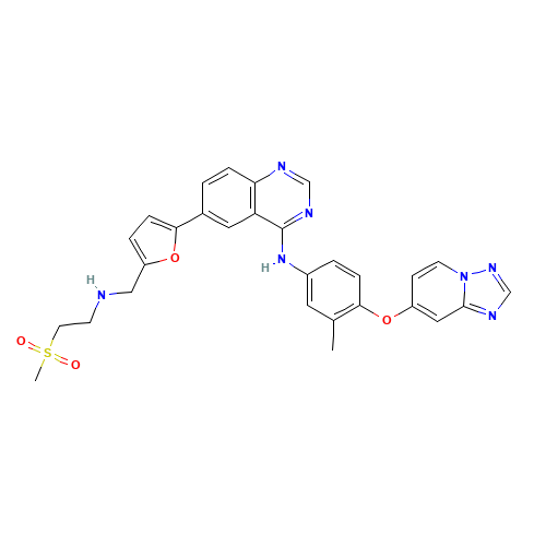 ARRY-380 (CAS: 937265-83-3) - Related Chemical Product