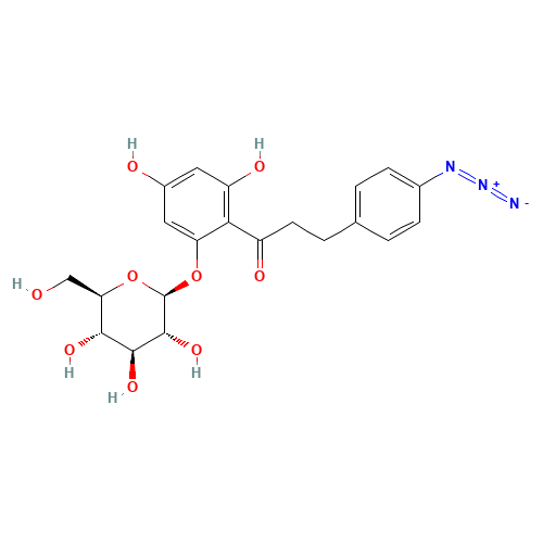 4-Azidophlorizin (CAS: 79541-46-1) - Related Chemical Product