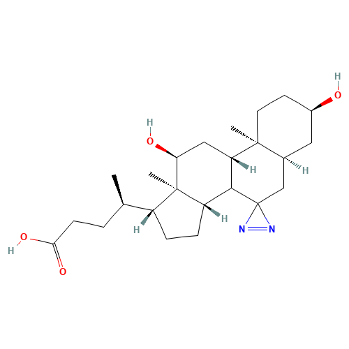 7,7-Azo-3-a,12-a-dihydroxycholanic Acid (CAS: 86992-52-1) - Related Chemical Product