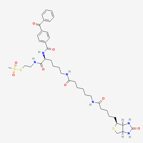 2-[Na-Benzoylbenzoicamido-N6-(6-biotinamidocaproyl)-L-lysinylamido]ethyl Methanethiosulfonate (CAS: 910036-44-1) - Chemical Structure and Molecular Formula 
