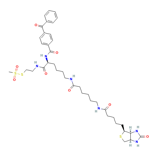 2-[Na-Benzoylbenzoicamido-N6-(6-biotinamidocaproyl)-L-lysinylamido]ethyl Methanethiosulfonate (CAS: 910036-44-1) - Related Chemical Product