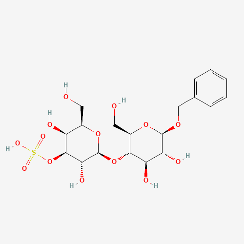 Benzyl 3'-Sulfo-b-D-lactoside (CAS: 753443-09-3) - Related Chemical Product