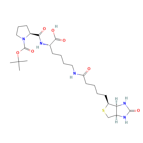 Biocytin-N-(t-boc)-L-proline (CAS: 1356383-21-5) - Chemical Structure and Molecular Formula 