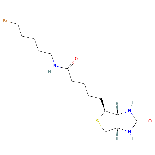 Biotin 5-Bromopentylamide (CAS: 1217605-72-5) - Related Chemical Product