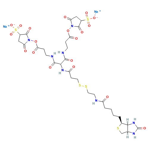 6-[2-Biotinylamidoethyl]-dithiopropionamido]-4,8-diaza-5,7-diketoundecanoic Acid Bis-N-sulfosuccinimidyl Ester Disodium Salt (CAS: 1044220-56-5) - Chemical Structure and Molecular Formula 