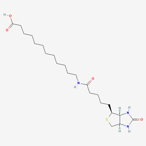 N-Biotinyl-12-aminododecanoic Acid (CAS: 135447-73-3) - Chemical Structure and Molecular Formula 