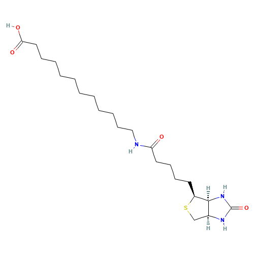 N-Biotinyl-12-aminododecanoic Acid (CAS: 135447-73-3) - Related Chemical Product
