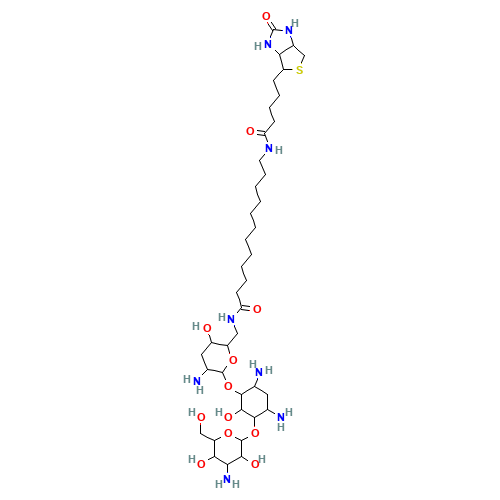 N-Biotinyl-12-aminododecanoyltobramycin Amide (CAS: 419573-20-9) - Related Chemical Product