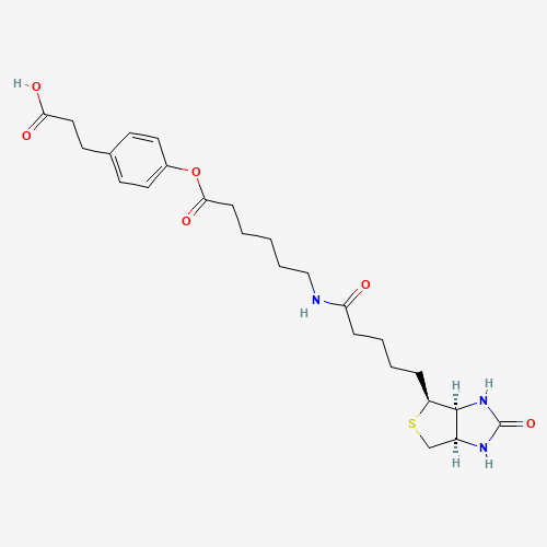 3-(4-(N-Biotinoyl-6-aminocaproyloxy)phenyl)propionic Acid (CAS: 83592-10-3) - Related Chemical Product