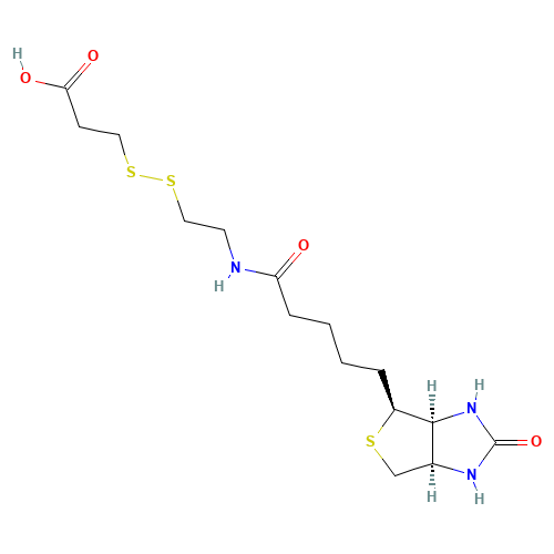 3-[2-N-(Biotinyl)aminoethyldithio]propanoic Acid (CAS: 104582-29-8) - Related Chemical Product
