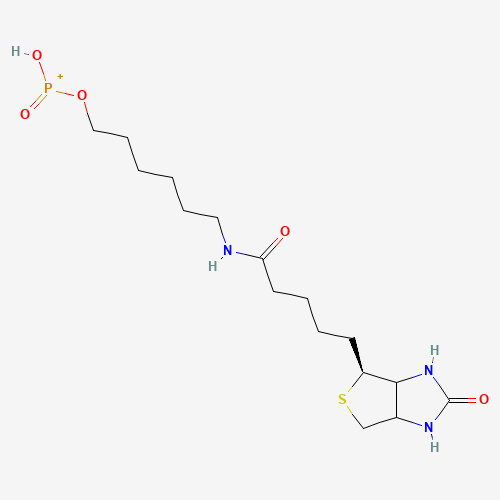 6-N-Biotinylaminohexyl Hydrogenphosphonate (CAS: 224583-35-1) - Related Chemical Product
