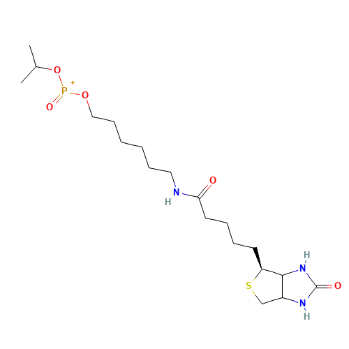6-N-Biotinylaminohexyl Isopropyl Hydrogenphosphonate (CAS: 224583-37-3) - Chemical Structure and Molecular Formula 