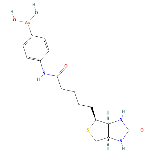N-Biotinyl p-Aminophenyl Arsinic Acid (CAS: 212391-23-6) - Related Chemical Product