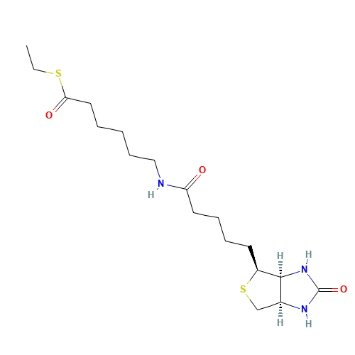 6-(Biotinylamino)thiocaproic Acid S-Ethyl Ester (CAS: 353754-94-6) - Related Chemical Product