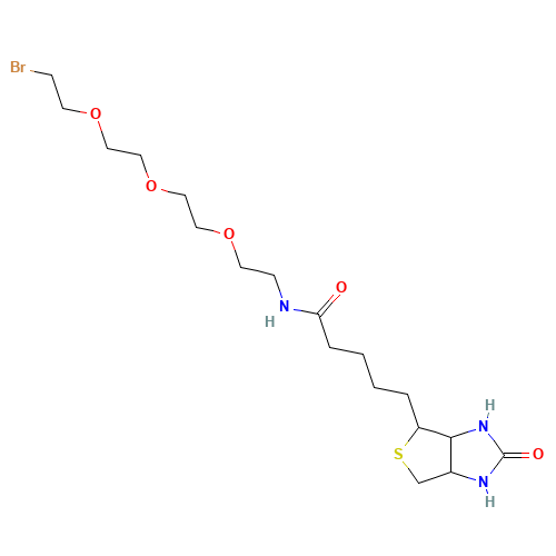 1-Biotinylamino-3,6,9-trioxaundecane-11-bromide (CAS: 1041766-91-9) - Chemical Structure and Molecular Formula 