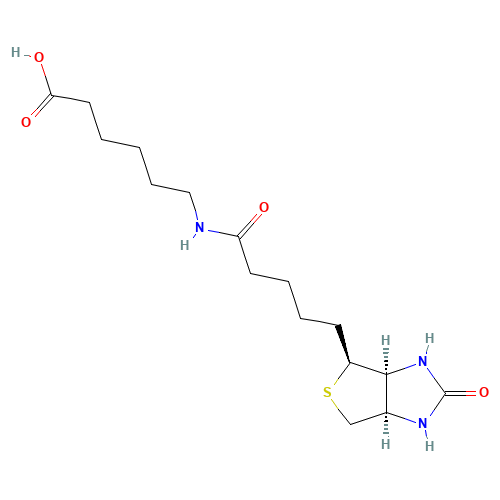 N-Biotinylcaproic Acid (CAS: 72040-64-3) - Related Chemical Product