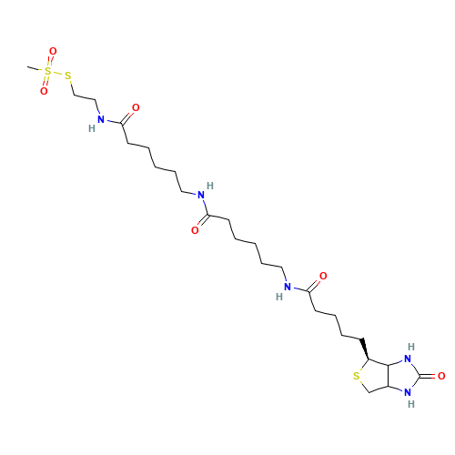 FT-0663151 CAS:1038749-81-3 chemical structure