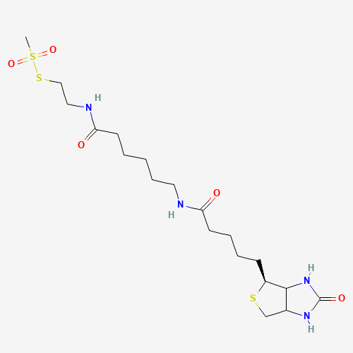 N-Biotinylcaproylaminoethyl Methanethiosulfonate (CAS: 353754-95-7) - Chemical Structure and Molecular Formula 