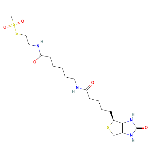 N-Biotinylcaproylaminoethyl Methanethiosulfonate (CAS: 353754-95-7) - Related Chemical Product