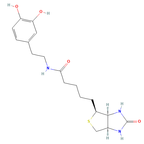 N-Biotinyl Dopamine (CAS: 241142-94-9) - Related Chemical Product