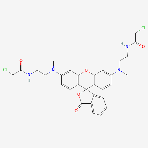 N,N'-Bis[2-(chloroacetamido)ethyl]-N,N'-dimethyl Rhodamine (CAS: 1022050-89-0) - Related Chemical Product
