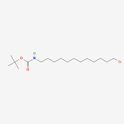 12-(t-Boc-amino)-1-dodecyl Bromide (CAS: 887353-35-7) - Related Chemical Product