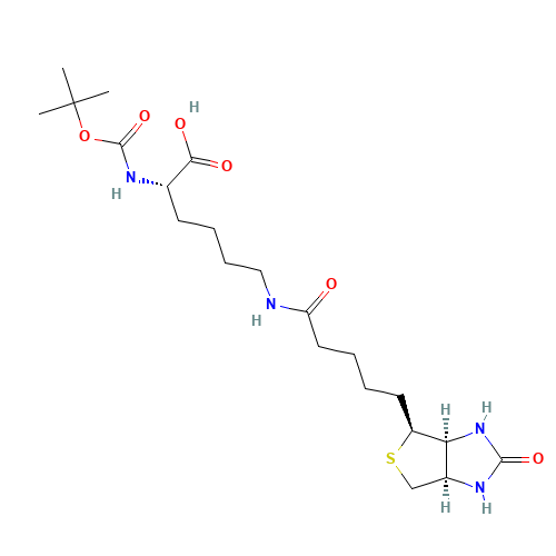 N-t-Boc-biocytin (CAS: 62062-43-5) - Related Chemical Product