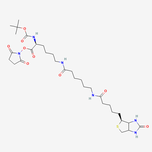 N2-t-Boc-N6-(biotinamido-6-N-caproylamido)lysine N-Hydroxysuccinimide Ester (CAS: 102910-27-0) - Related Chemical Product