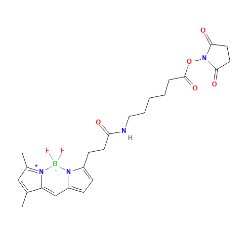 3-Bodipy-propanoylaminocaproic Acid,N-Hydroxysuccinimide Ester (CAS: 217190-09-5) - Related Chemical Product