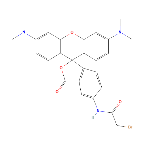 5-[Bromoacetamido]tetramethyl Rhodamine (CAS: 166442-38-2) - Related Chemical Product