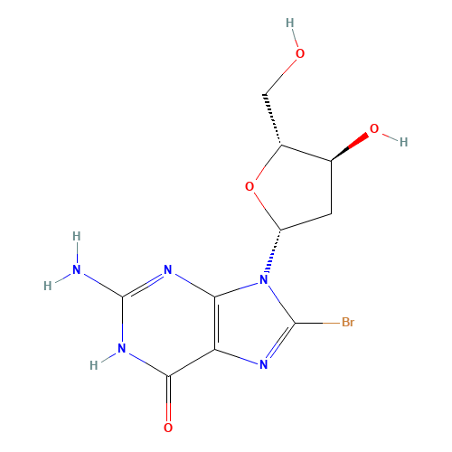 8-Bromo-2'-deoxyguanosine (CAS: 13389-03-2) - Related Chemical Product