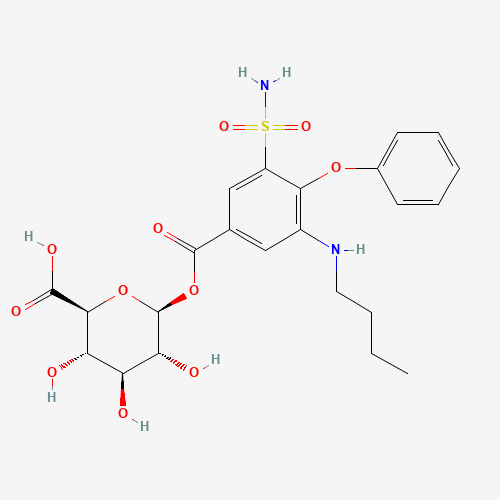 Bumetanide b-D-Glucuronide (CAS: 102623-14-3) - Related Chemical Product
